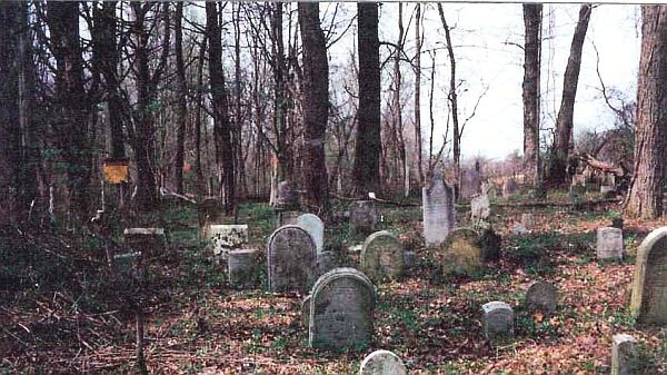 CEM2416317_131497037650